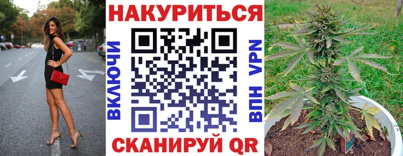 Хочу наркоту Выборг Конопля  Псилоцибиновые грибы  МЕТАМФЕТАМИН  ГАШ  Меф мяу мяу  Кокаин 