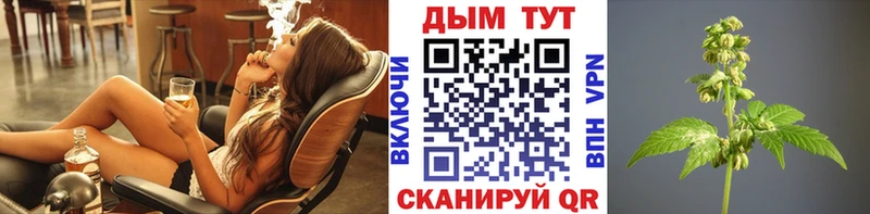 A PVP Выборг