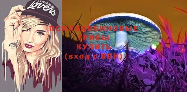 мяу мяу мука Аркадак