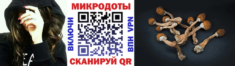 Псилоцибиновые грибы Psilocybine cubensis  сайты даркнета официальный сайт  Выборг 